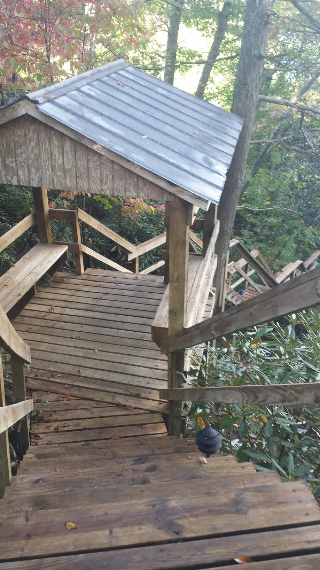 Metal roofed shelter over wooden steps on a wooded walkway — Skylight Repair & Installation work by our crew in Cypress Inn